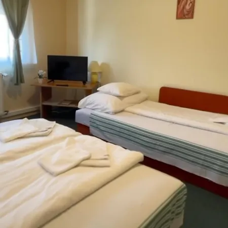 Flamingo Szallas Bed & Breakfast Kiskunmajsa